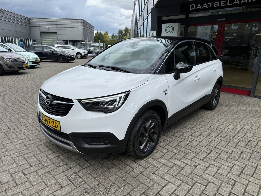 47511382-1.jpg