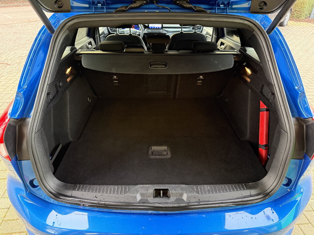 50998350-4.jpg